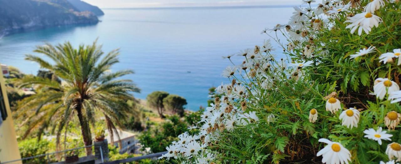 New Hanging Garden Corniglia Luaran gambar